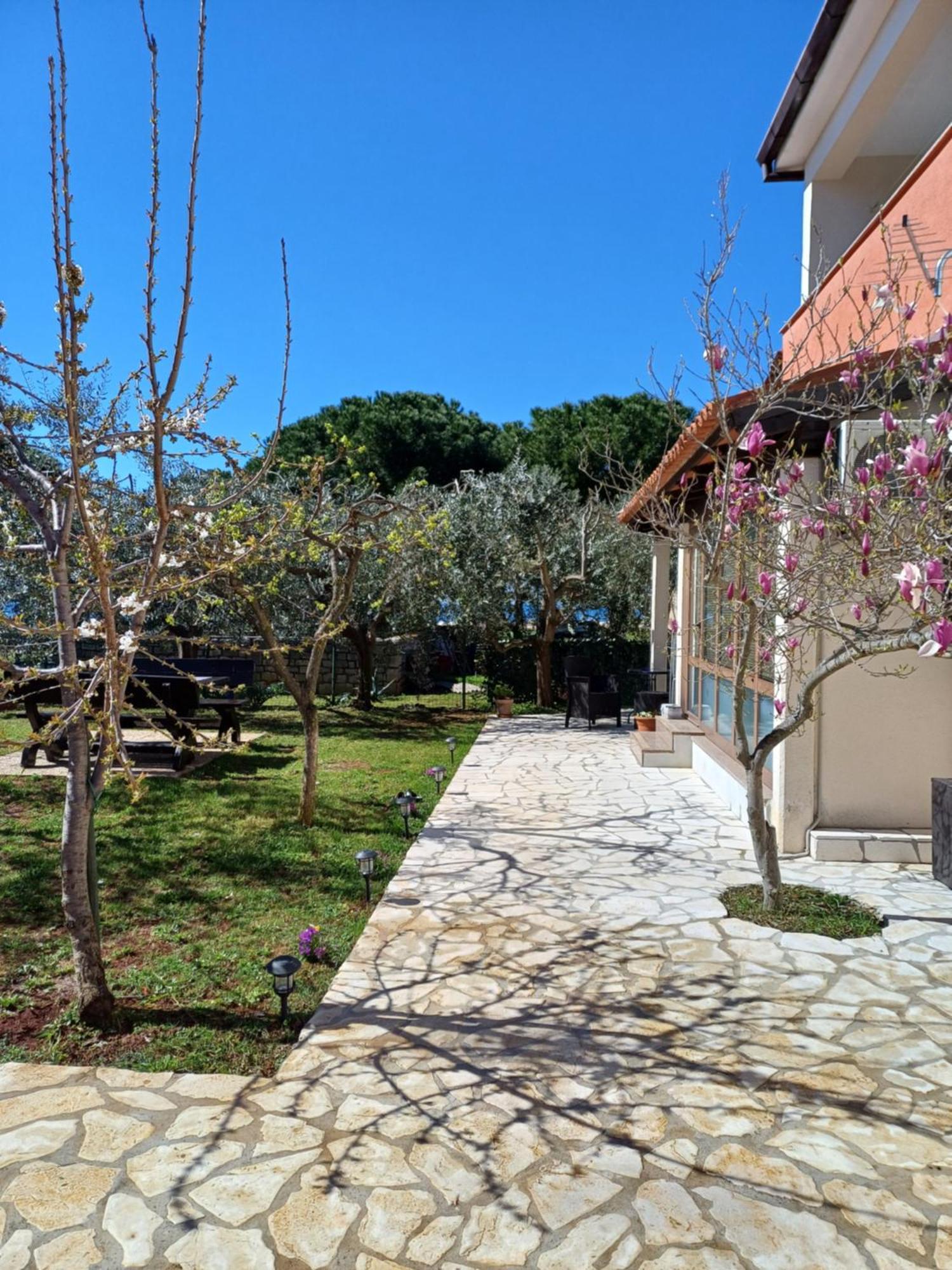 Apartments Grahovac Umag Exterior foto